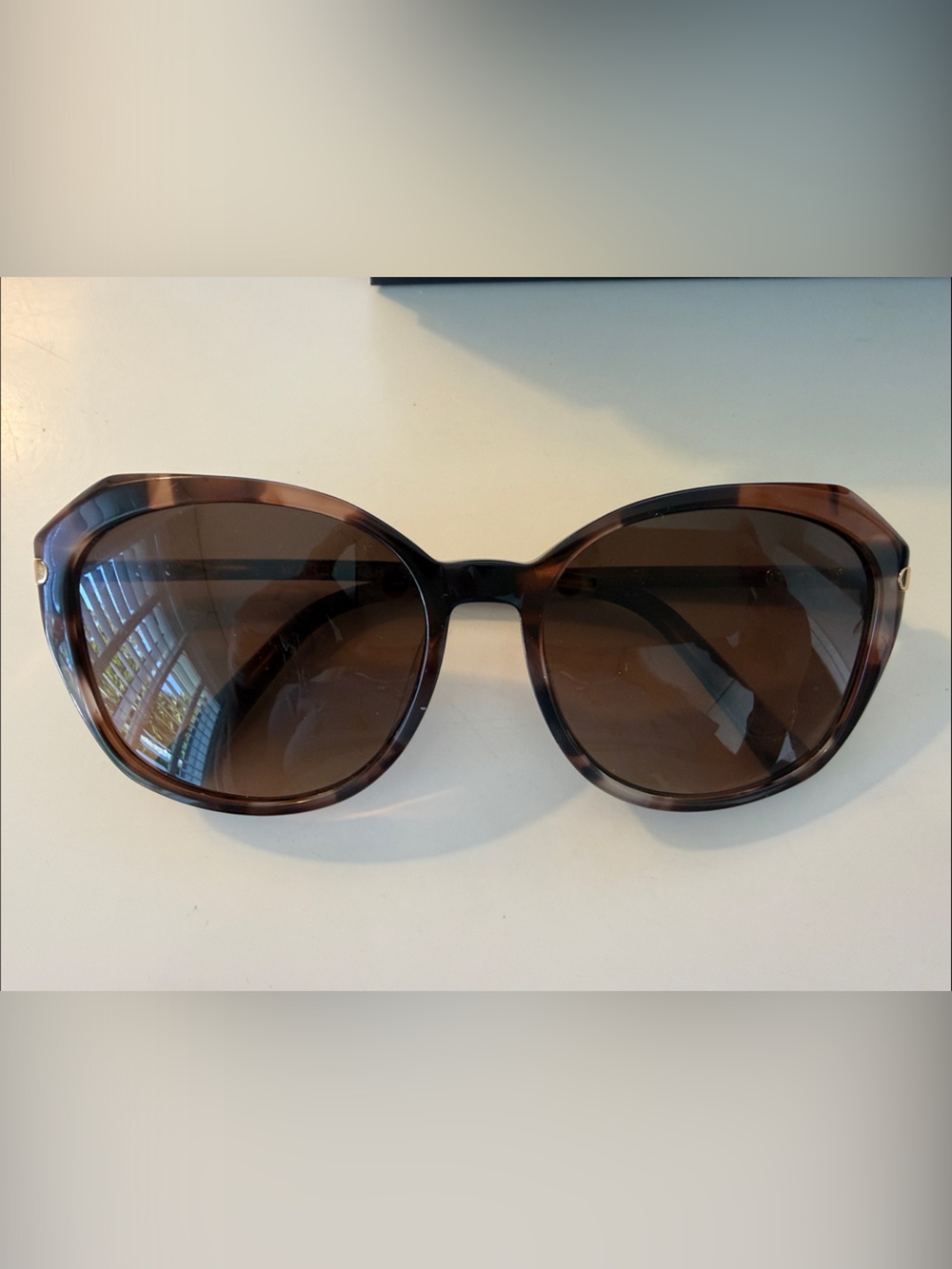 Warby Parker Nancy Women's Oversized Brown Tortoise Sunglasses